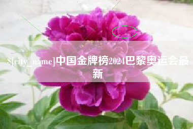 沂南中国金牌榜2024巴黎奥运会最新