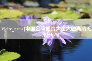 沂南中国金牌图片大全大图高清无水印