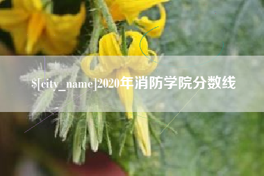沂南2020年消防学院分数线