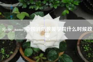 沂南中国消防救援学院什么时候政审