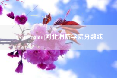 沂南河北消防学院分数线