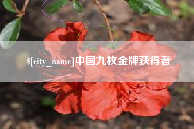 沂南中国九枚金牌获得者