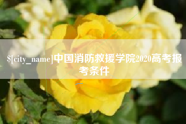 沂南中国消防救援学院2020高考报考条件