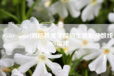沂南消防救援学院招生录取分数线2020福建