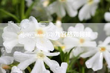 沂南579九宫格如何排