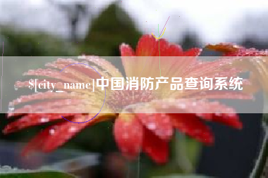 沂南中国消防产品查询系统