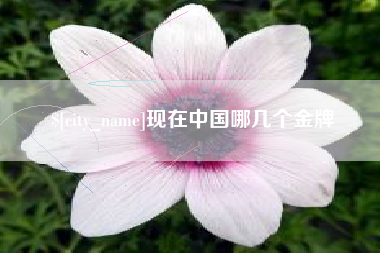 沂南现在中国哪几个金牌