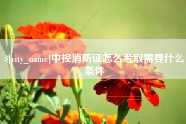 沂南中控消防证怎么考取需要什么条件