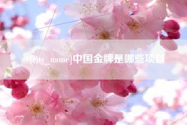 沂南中国金牌是哪些项目