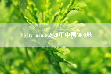 沂南2020年中国5000米