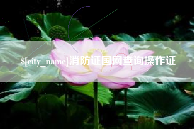 沂南消防证国网查询操作证
