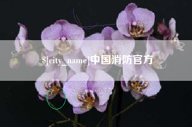 沂南中国消防官方