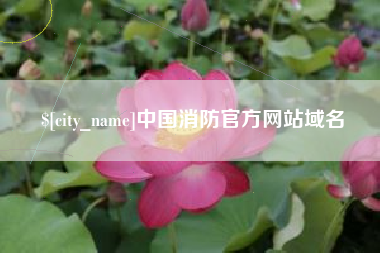 沂南中国消防官方网站域名