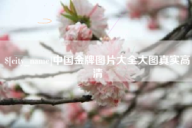 沂南中国金牌图片大全大图真实高清