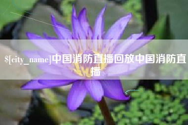 沂南中国消防直播回放中国消防直播