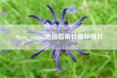 沂南地图指南针图标图片