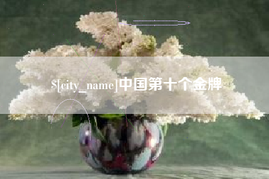 沂南中国第十个金牌