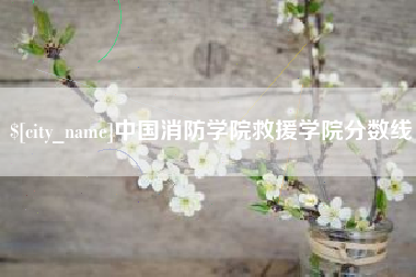 沂南中国消防学院救援学院分数线