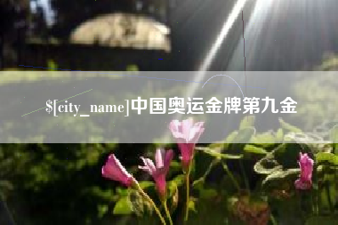 沂南中国奥运金牌第九金