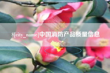 沂南中国消防产品质量信息