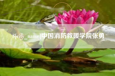沂南中国消防救援学院张勇
