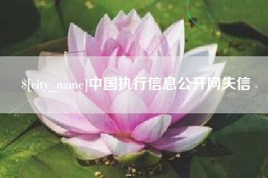 沂南中国执行信息公开网失信
