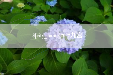 沂南2022九宫