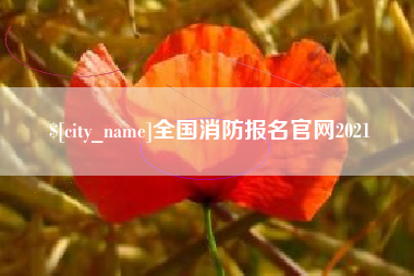 沂南全国消防报名官网2021