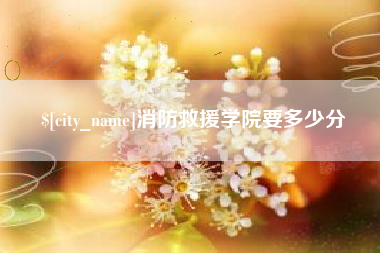 沂南消防救援学院要多少分