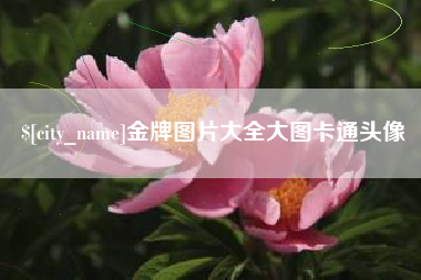 沂南金牌图片大全大图卡通头像