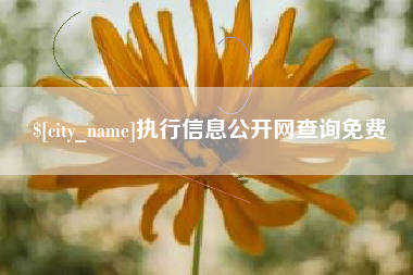 沂南执行信息公开网查询免费