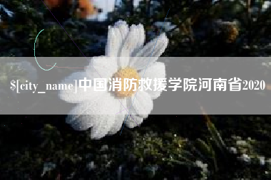 沂南中国消防救援学院河南省2020
